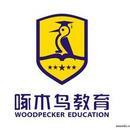 啄木鸟国际教育咨询（北京）有限公司