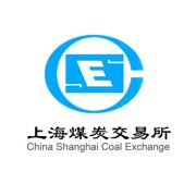 上海煤炭交易所有限公司