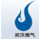 武汉市能源集团有限公司