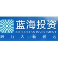 安徽蓝海投资控股集团有限公司
