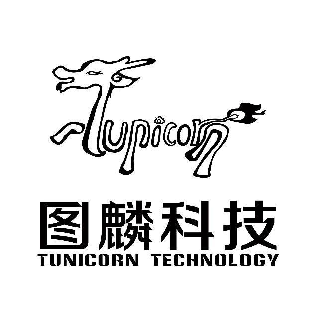 图麟信息科技（上海）有限公司