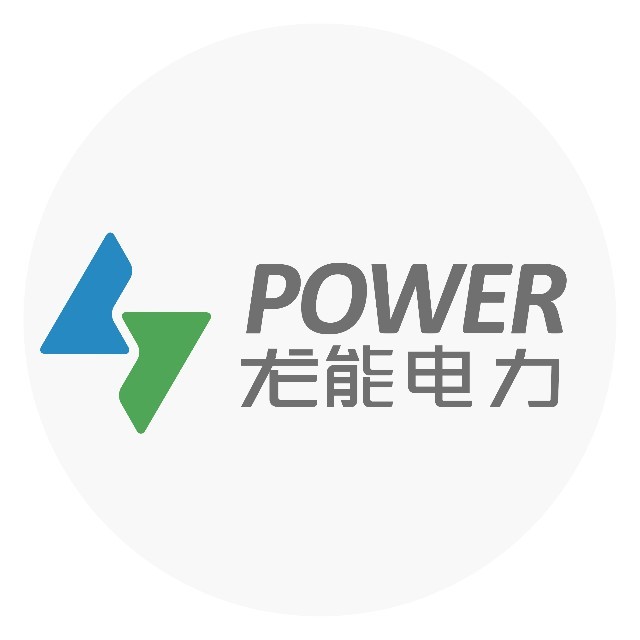 浙江龙能电力科技股份有限公司