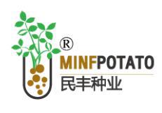 内蒙古民丰薯业有限公司北京科技咨询分公司
