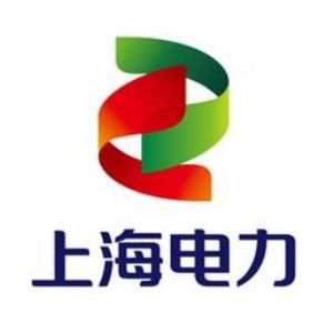 上海电力股份有限公司电力运行分公司