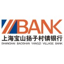 上海宝山扬子村镇银行股份有限公司