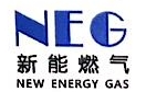 广西华油新能能源股份有限公司