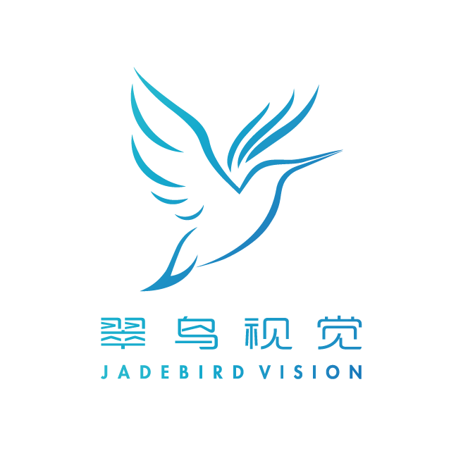 北京翠鸟视觉科技有限公司
