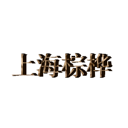 上海棕桦信息科技有限公司