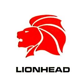 狮头科技发展股份有限公司芜湖分公司