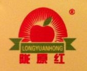 静宁县陇原红果品经销有限责任公司果品包装市场分公司