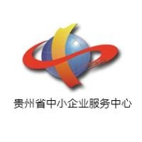 贵州省中小企业服务集团有限公司