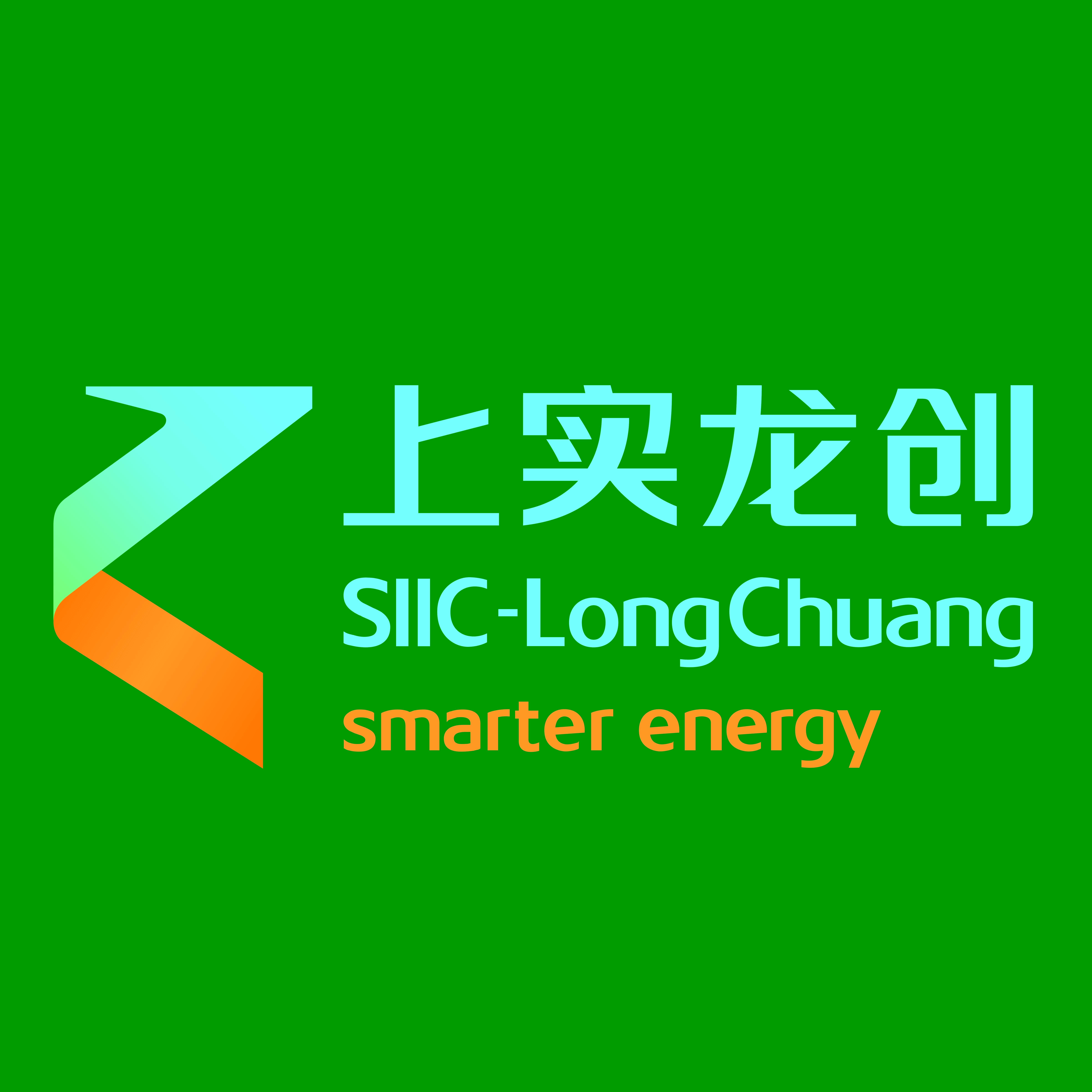 上海上实龙创智能科技股份有限公司广州分公司