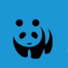 熊猫电子集团有限公司